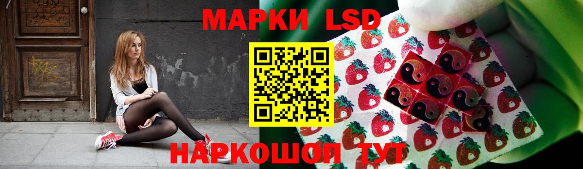 blacksprut рабочий сайт  ЛСД экстази кислота  ЛСД экстази кислота  Вход с VPN  Татарск 